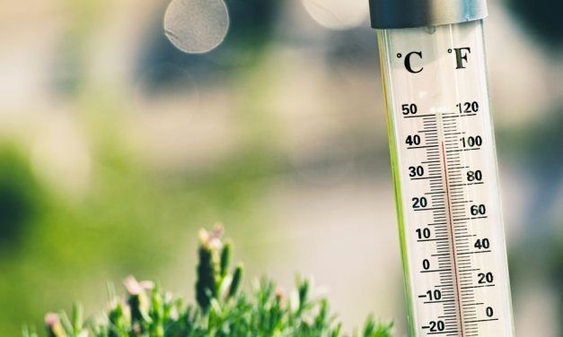 Plantem cara a l’onada de calor