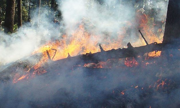 Una lluita constant contra els incendis