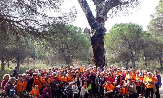 Homenatgem a la gent gran de Begues