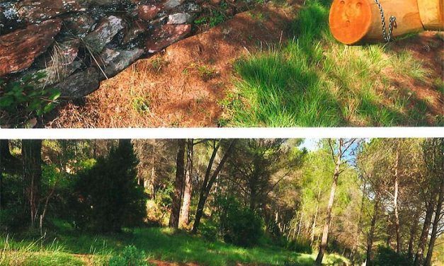 Llum verda a la primera fase del parc de la Parellada