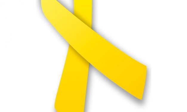 En defensa de Catalunya i les seves institucions