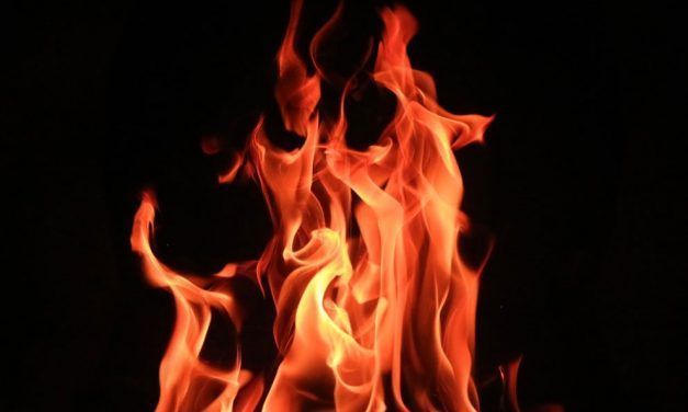 En guàrdia davant dels incendis forestals