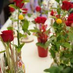 A Begues estimem Sant Jordi