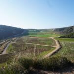 Aconseguir el que és just per a Begues