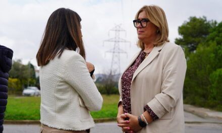 Retirada de la línia d’alta tensió: de les promeses als fets