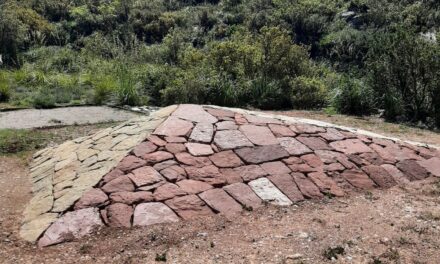 Vallgrassa, el batec compartit entre l’art i la natura